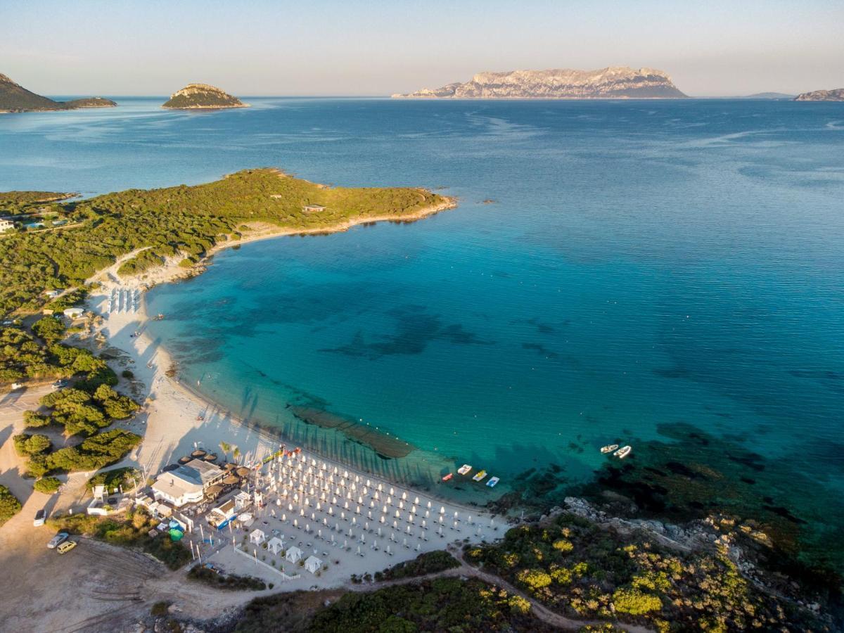 Apartment Bianca Pedra Rosa - Your House In Sardinia Golfo Aranci